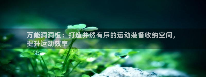 欧陆娱乐有限公司官网：万能洞洞板：打造井然有序的运动