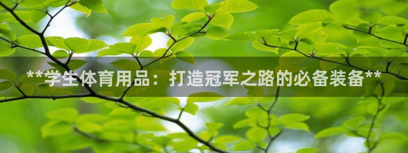 欧陆娱乐登录官网：**学生体育用品：打造冠军之路的必