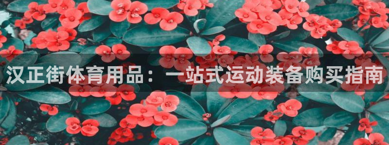 欧陆娱乐登录注册平台有哪些：汉正街体育用品：一站式运