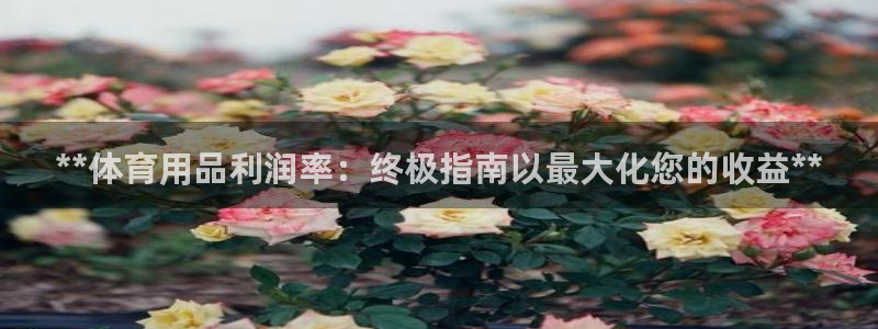 欧陆娱乐可以退钱：**体育用品利润率：终极指南以最大