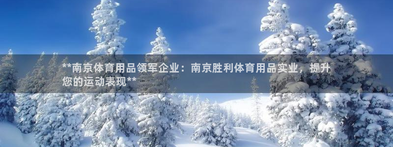 欧陆娱乐总代理：**南京体育用品领军企业：南京胜利体