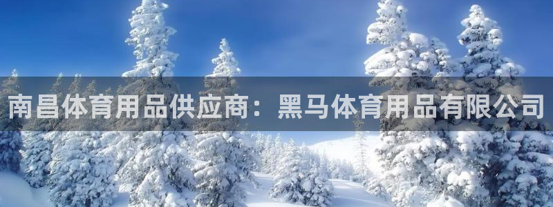 欧陆娱乐游戏特色：南昌体育用品供应商：黑马体育用品有