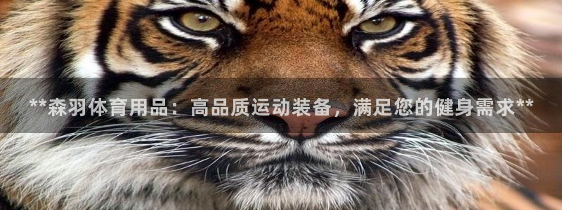 欧陆娱乐官网网址：**森羽体育用品：高品质运动装备，