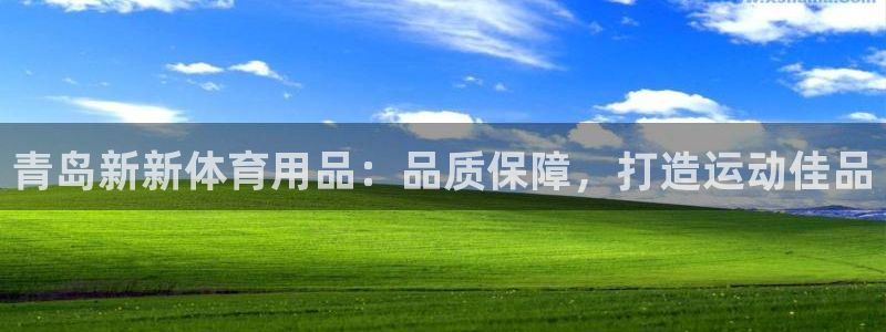 欧陆娱乐微信众：青岛新新体育用品：品质保障，打造运动