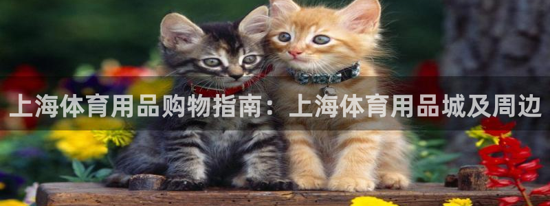 欧陆娱乐是干什么的：上海体育用品购物指南：上海体育用