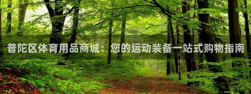 欧陆娱乐注册平台：普陀区体育用品商城：您的运动装备一