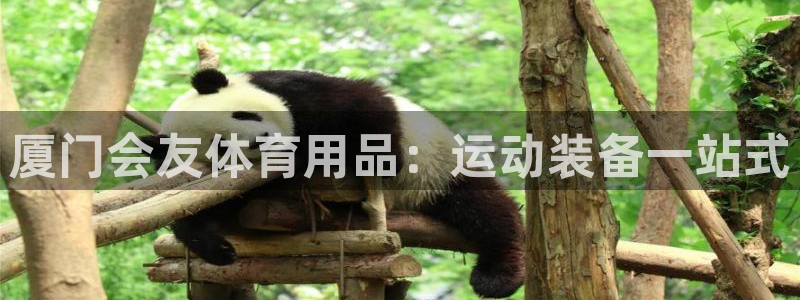 欧陆娱乐会员有什么用：厦门会友体育用品：运动装备一站