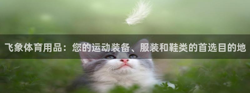 欧陆娱乐注册链接怎么弄出来：飞象体育用品：您的运动装