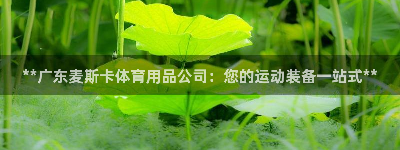 欧陆娱乐登录注册平台下载：**广东麦斯卡体育用品公司