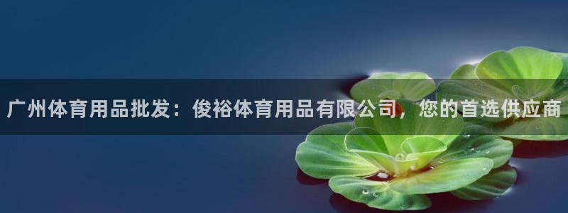 欧陆娱乐登录注册平台下载：广州体育用品批发：俊裕体育