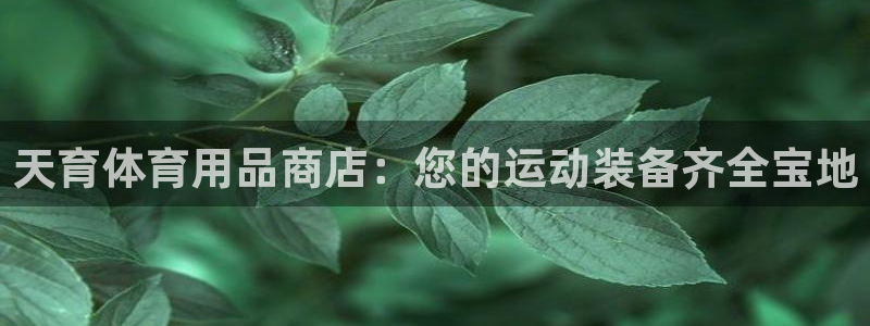 欧陆娱乐有限公司官网：天育体育用品商店：您的运动装备