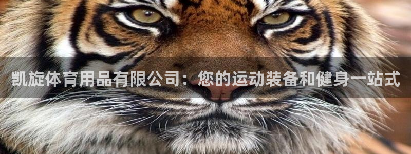 欧陆娱乐百科大全：凯旋体育用品有限公司：您的运动装备