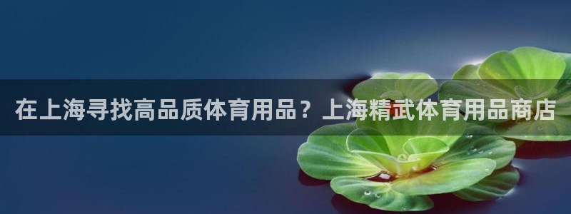欧陆娱乐太阳：在上海寻找高品质体育用品？上海精武体育
