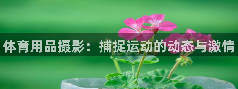 欧陆娱乐中国：体育用品摄影：捕捉运动的动态与激情