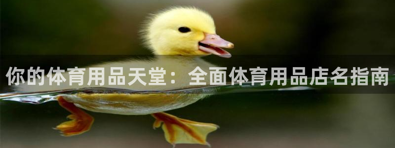 欧陆娱乐登陆平台：你的体育用品天堂：全面体育用品店名