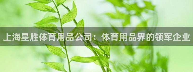 欧陆娱乐不让提现吗：上海星胜体育用品公司：体育用品界