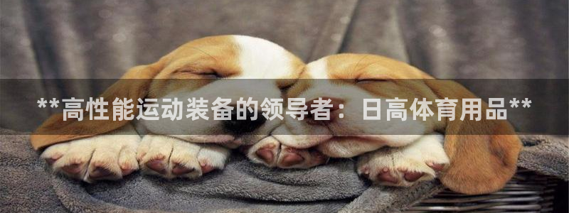 欧陆娱乐欧陆主管：**高性能运动装备的领导者：日高体