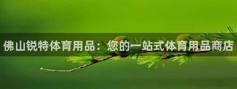欧陆娱乐测试官网：佛山锐特体育用品：您的一站式体育用