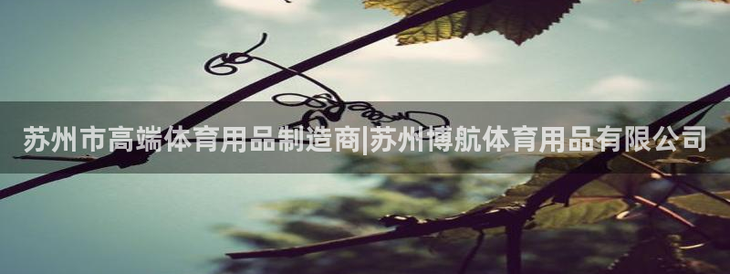 欧陆娱乐怎么注册会员账号啊：苏州市高端体育用品制造商