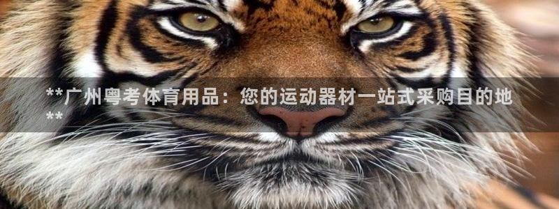 欧陆娱乐平台登录不上去怎么办：**广州粤考体育用品：