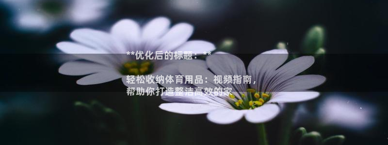 欧陆娱乐百科：**优化后的标题：**

轻松收纳体育