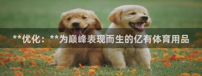 欧陆娱乐客服电话人工服务号码：**优化：**为巅峰表