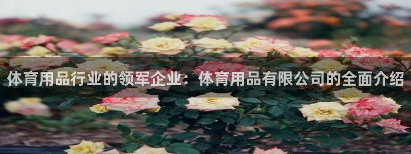 欧陆娱乐能赚钱吗知乎：体育用品行业的领军企业：体育用