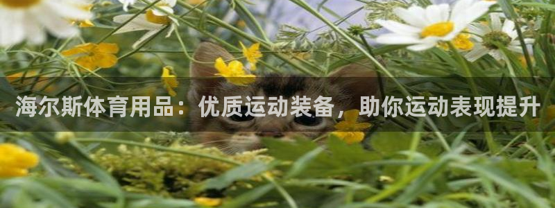 欧陆娱乐注册代理多少钱一个月：海尔斯体育用品：优质运