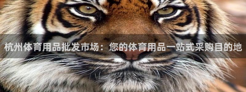 欧陆娱乐微信：杭州体育用品批发市场：您的体育用品一站