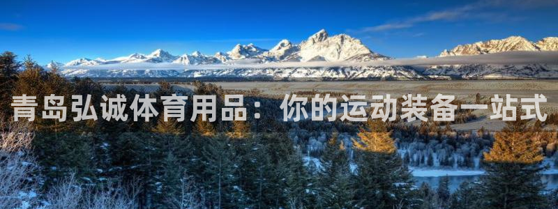 欧陆娱乐app打不开怎么回事儿：青岛弘诚体育用品：你