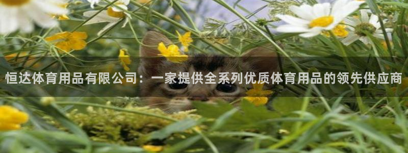 欧陆娱乐总代理电话：恒达体育用品有限公司：一家提供全