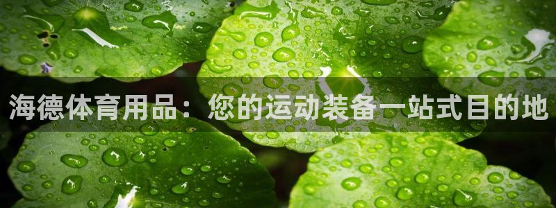 欧陆娱乐平台咋样啊赚钱：海德体育用品：您的运动装备一