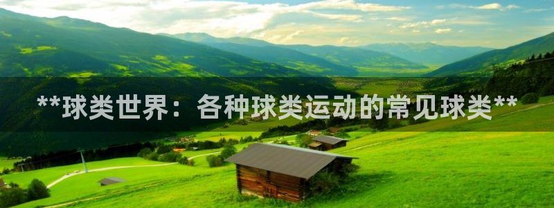 欧陆娱乐提现多久到账：**球类世界：各种球类运动的常