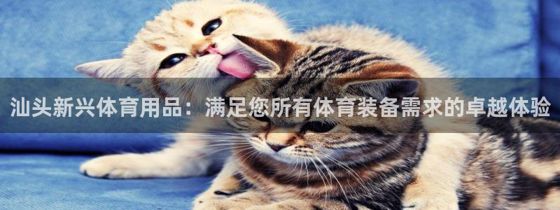 欧陆娱乐挂机怎么玩游戏：汕头新兴体育用品：满足您所有