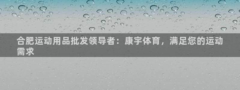 欧陆娱乐平台总代理：合肥运动用品批发领导者：康宇体育