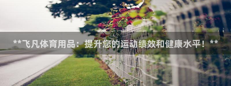 欧陆娱乐是真的假的：**飞凡体育用品：提升您的运动绩