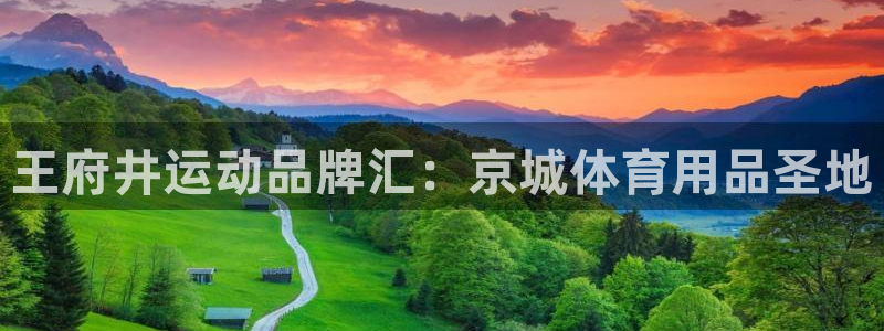 欧陆娱乐官方下载安装：王府井运动品牌汇：京城体育用品