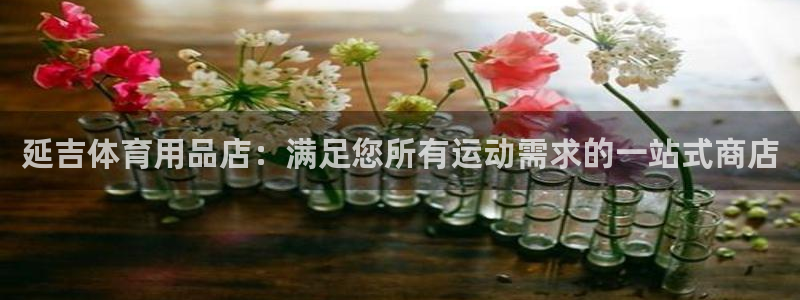 欧陆娱乐登录注册平台：延吉体育用品店：满足您所有运动
