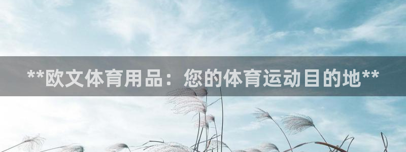 欧陆娱乐平台登陆地址是什么：**欧文体育用品：您的体