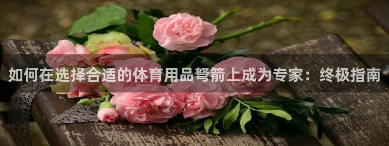 欧陆娱乐怎么注册账号：如何在选择合适的体育用品弩箭上