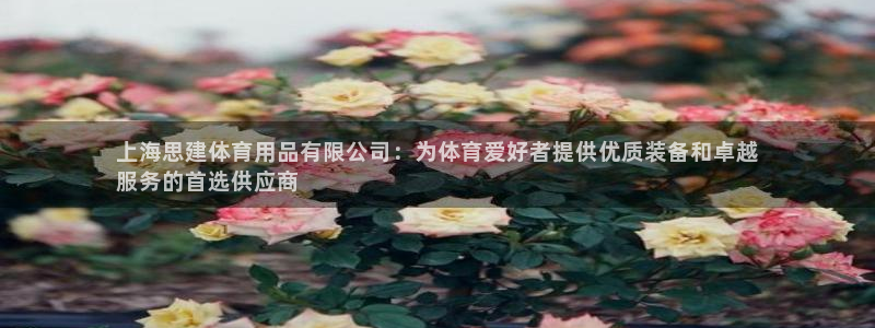 欧陆娱乐会员：上海思建体育用品有限公司：为体育爱好者