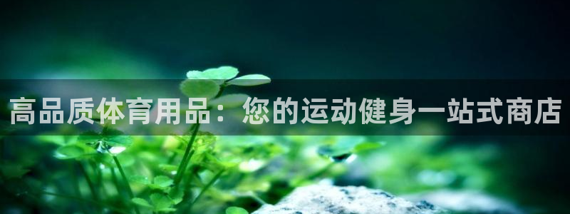 欧陆商城：高品质体育用品：您的运动健身一站式商店