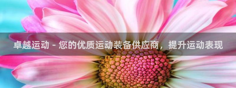 欧陆娱乐官网首页：卓越运动 - 您的优质运动装备供应