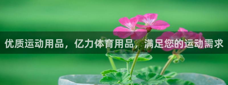 欧陆娱乐游戏：优质运动用品，亿力体育用品，满足您的运
