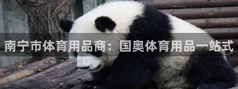 欧陆娱乐登录官网：南宁市体育用品商：国奥体育用品一站
