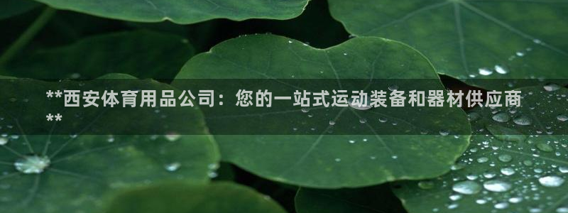 欧陆娱乐登陆官网：**西安体育用品公司：您的一站式运