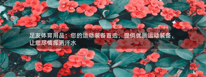 欧陆娱乐平台总代理：足友体育用品：您的运动装备首选，