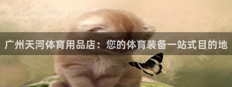 欧陆娱乐官网下载安装最新版：广州天河体育用品店：您的