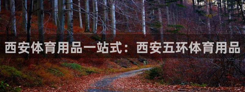 欧陆娱乐测试：西安体育用品一站式：西安五环体育用品