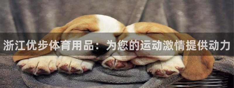 欧陆娱乐平台登录不上怎么办：浙江优步体育用品：为您的